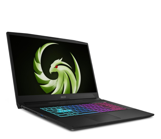 MSI Bravo 17 Ryzen 5-7535HS/32GB/512/Win11X RTX4050 144Hz - 1217326 - zdjęcie 2